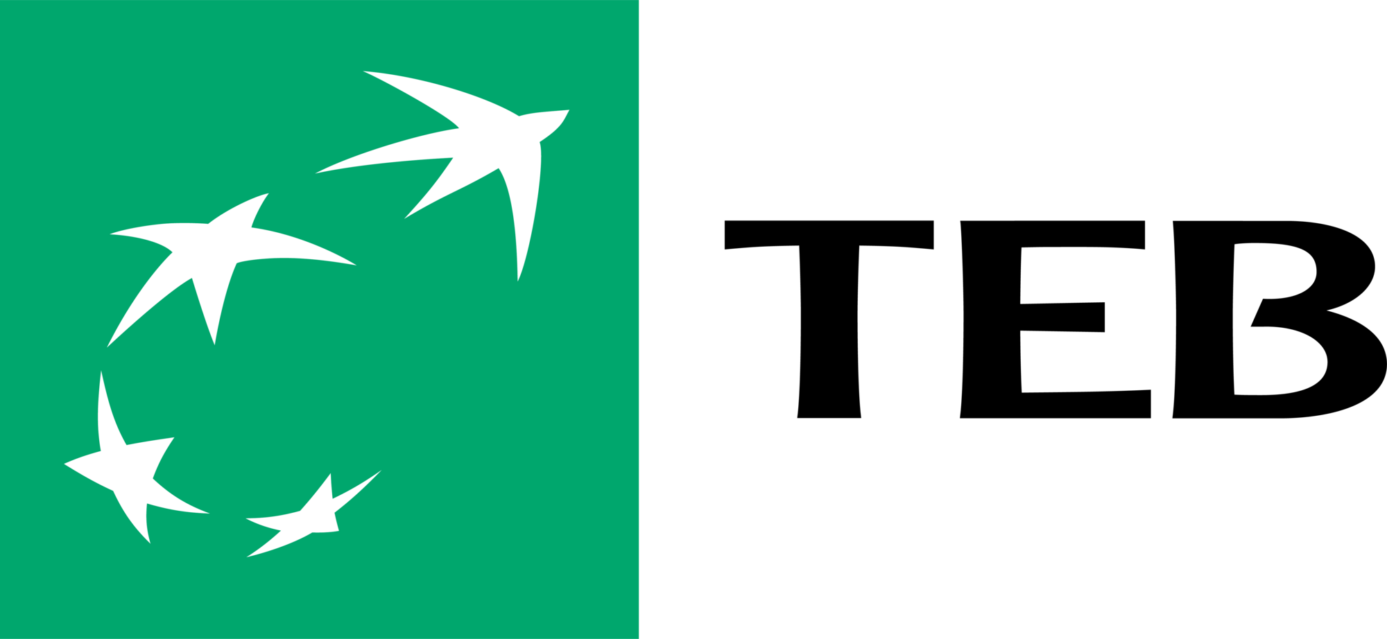 TEB